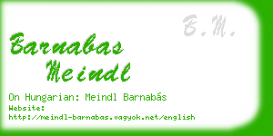 barnabas meindl business card